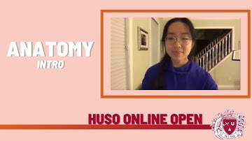Introduction to Anatomy - Intro - HUSO 20-21