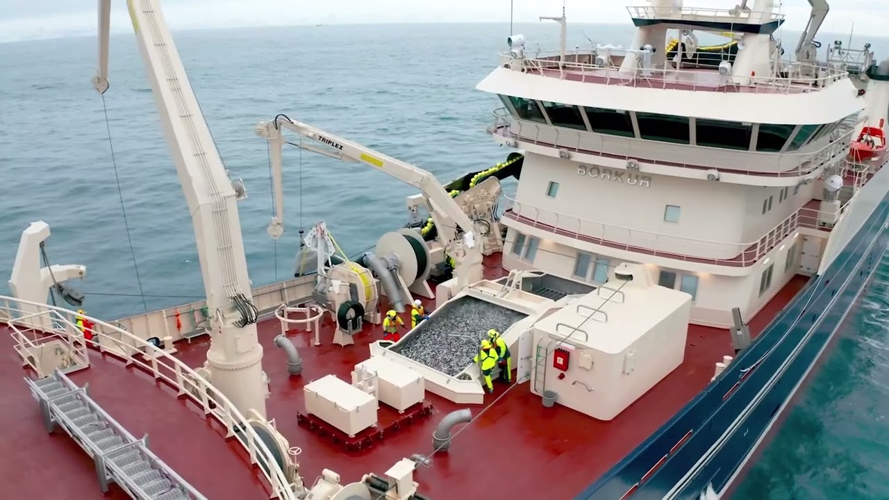 Samherji Pelagic Fishing Vessel 