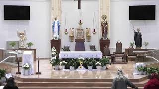 Live Mass