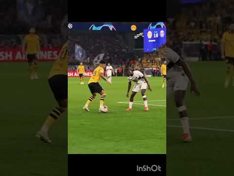 الرجل الذى قضى على مينديش   الفيانو