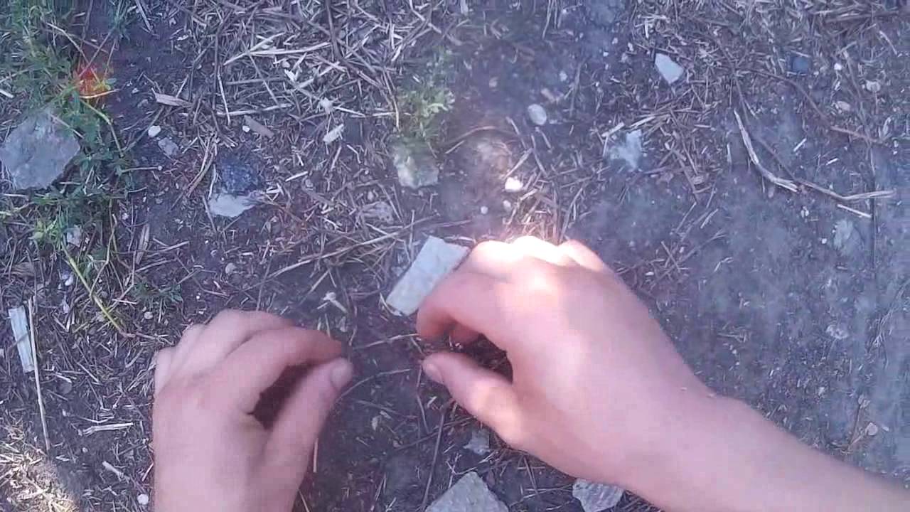 Лечение пчелиным ядом Лечение пчелиным ядом