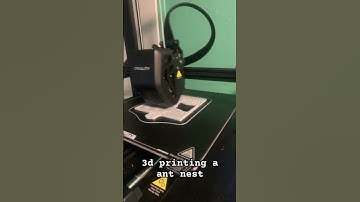 3d printed ant nest