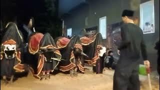 Kalapan Bantengan Maheso Suro Redjo live kenongo wager