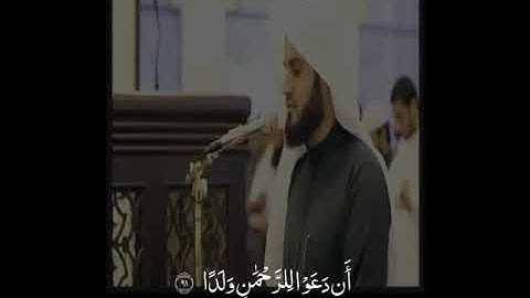 آيات من سورة مريم بصوت القارئ رعد الكردي ||وقالوا اتخذ الرحمن ولدا||، تلاوة رائعة❤️