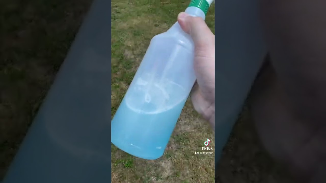 Как уничтожить ядовитый плющ!￼