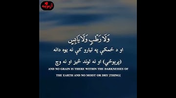 قرآن کریم پښتو ترجمه سورة غافر آیات 19Quran with Pashto Translation