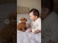 赤ちゃんとわんこ🐶　dog and Baby #japan #cute #ai #baby #kawaii #かわいい　#犬　#dog #残念そうな顔