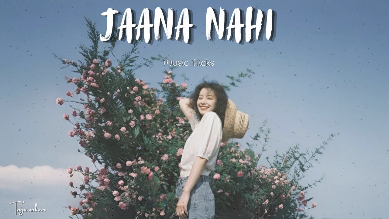 Music Flicks - "Jaana Nahi" (Official music video)| Lyrics