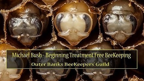 Michael Bush BeeKeeping Part 1   Outer Banks Web