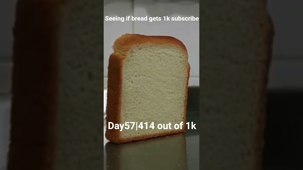 Bread Challenge Will We Reach 1K Subscribers Shorts YouTubeGrowth 1KSubscriber
