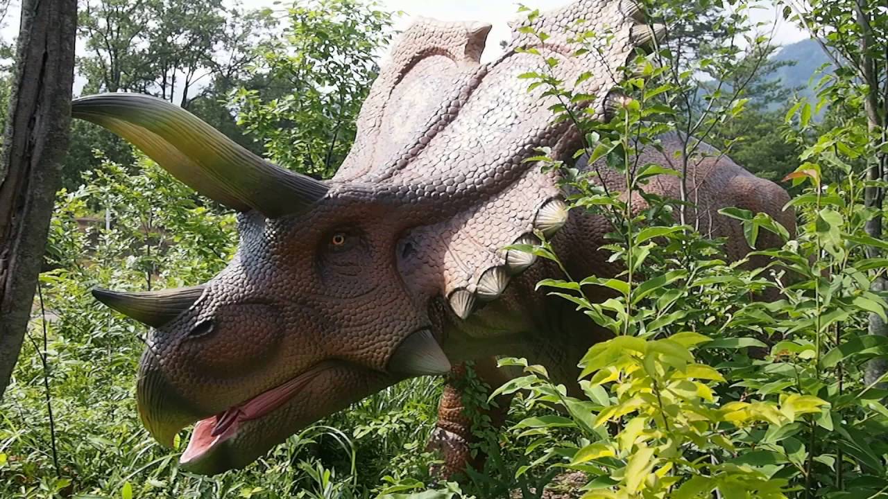 ペンタケラトプス かつやまディノパーク 16 06 21 Youtube ペンタケラトプス かつやまディノパーク 16 06 21 Youtube