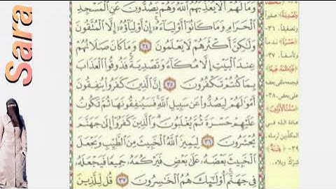 الوجه الخامس  صفحة  ١٨١ سورة الانفال