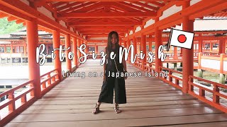Living On A Japanese Island Itsukushima Shrine Miyajima Island Vlog