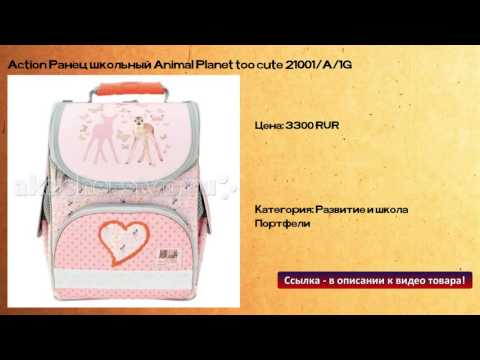 Action Ранец школьный Animal Planet too cute 21001/A/1G