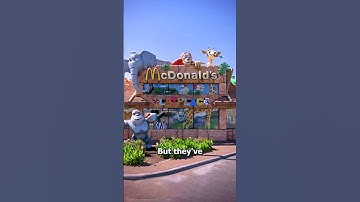 Thumbnail of Why some McDonald's Have A Single Arch 🤔 (EXPLAINED)