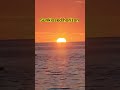 Beautiful sunset #beautiful #outdoors #sunset #scenicviews #scenery #pelicans #sun #sky #shorts