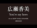 広瀬香美 You&#39;re my hero【歌詞付き】