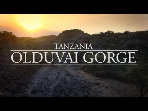 Video: L'imminente Collasso Della Civiltà O La Teoria Di Olduvai - Visualizzazione Alternativa