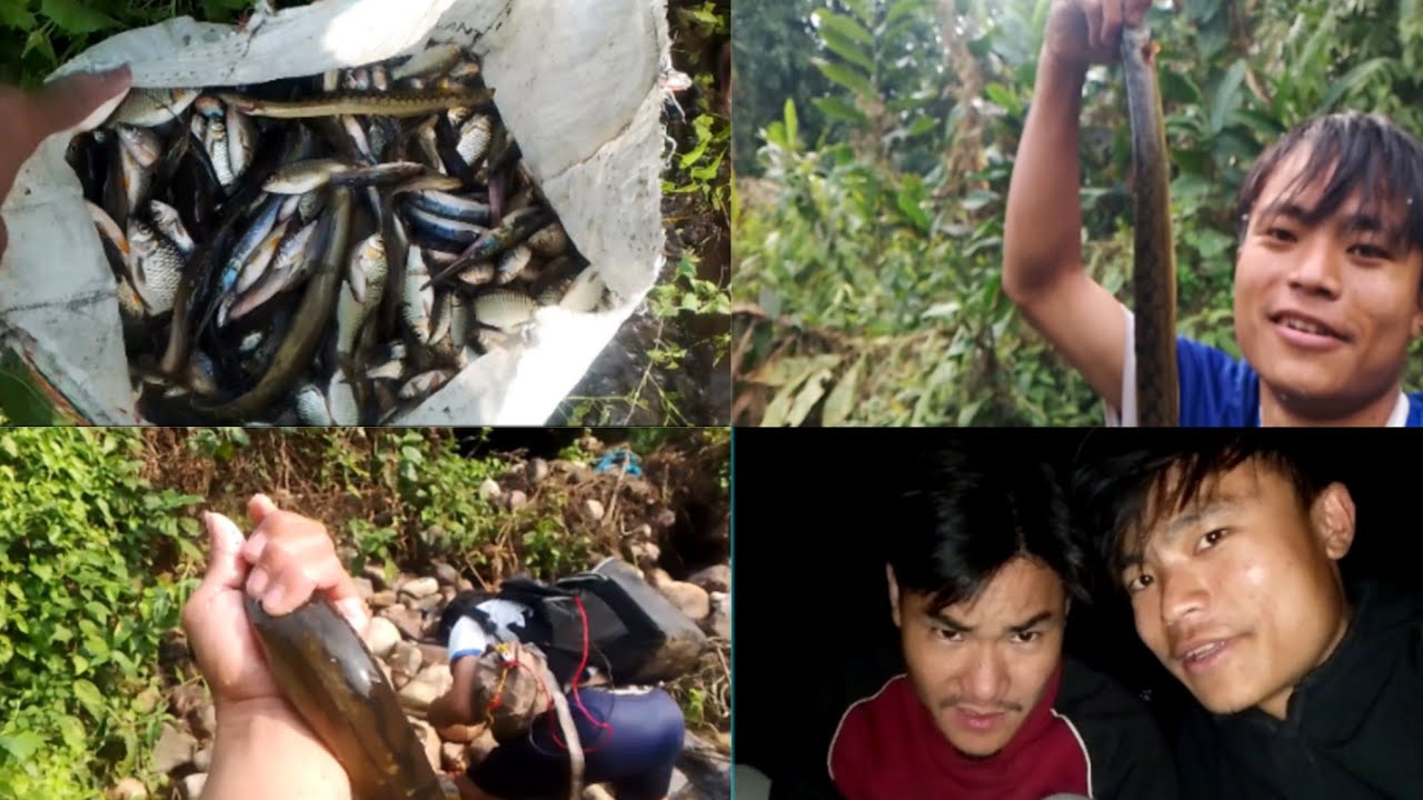 Earned 3000 rupees by fishing😲as a student|using electric fishing technique 😱|North East A.P