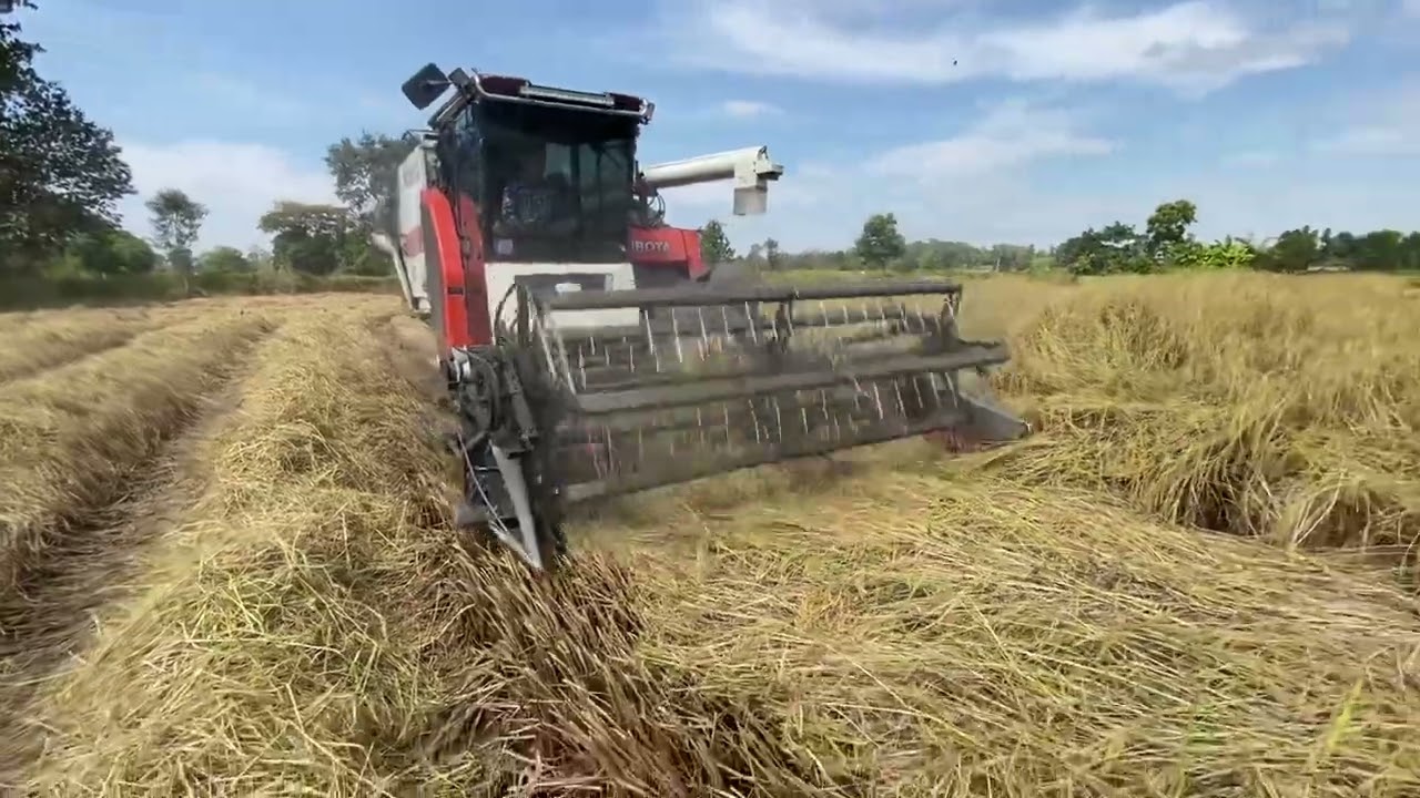 Dc93ขยายปาก3.เมตร เกี่ยวข้าวเม็ดเล็ก เจ้าสุดท้าย