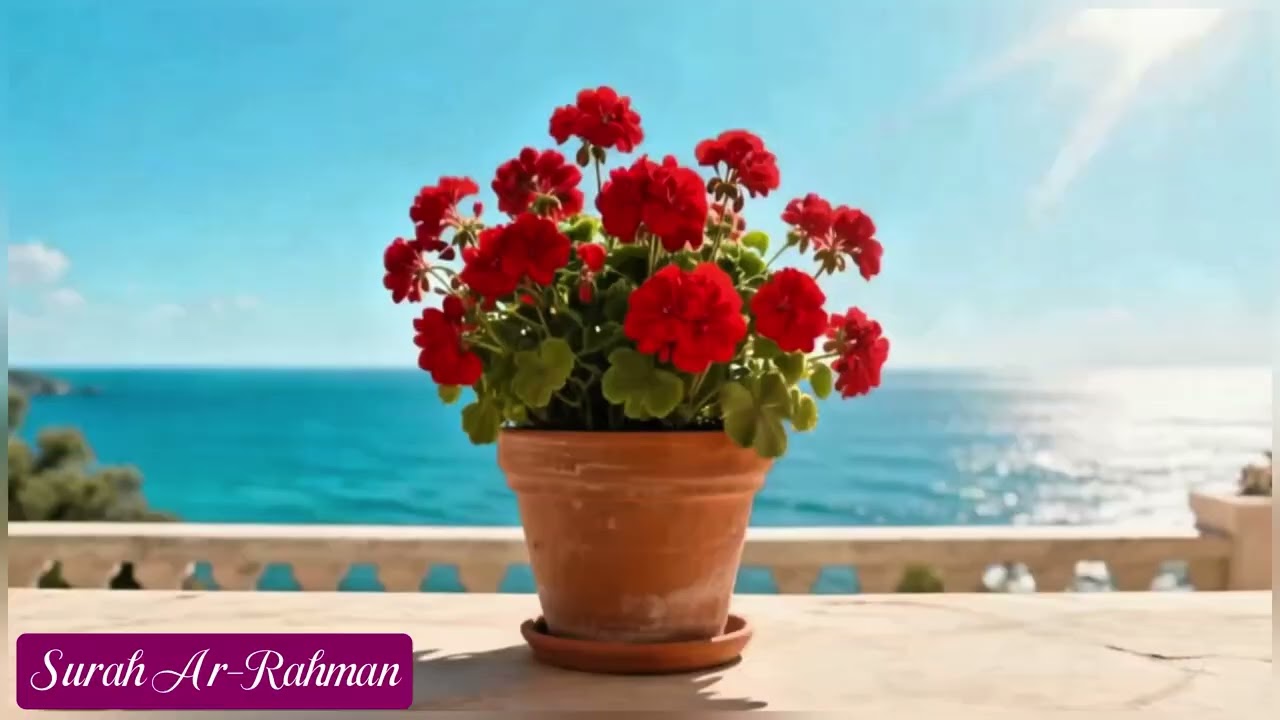 Surah Ar-Rahman -سورة الرحمن