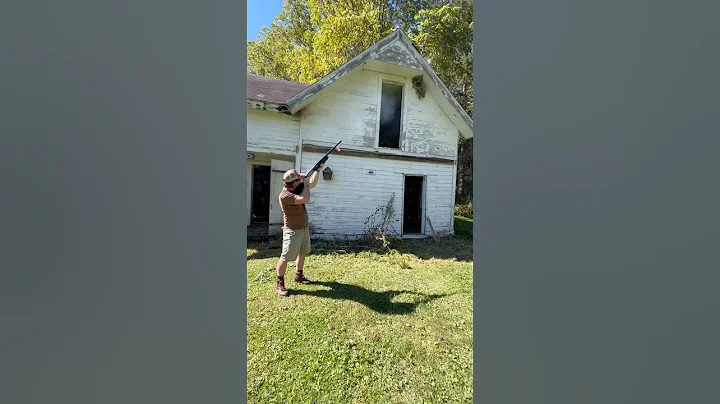 Shooting A Hornet’s Nest #bee #hornet #wasp #jackass #guns #shotgun #dumb #badidea #targetshooting