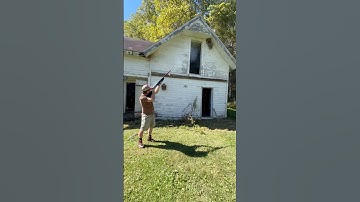 Shooting A Hornet’s Nest #bee #hornet #wasp #jackass #guns #shotgun #dumb #badidea #targetshooting