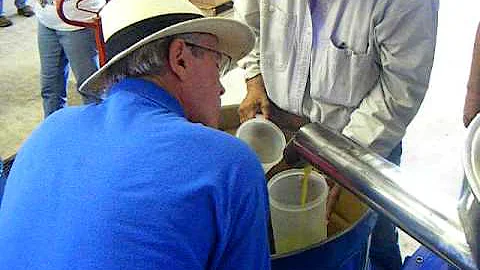 This Year's "Nuova Oliva" Fresh Olive Oil from Tex...