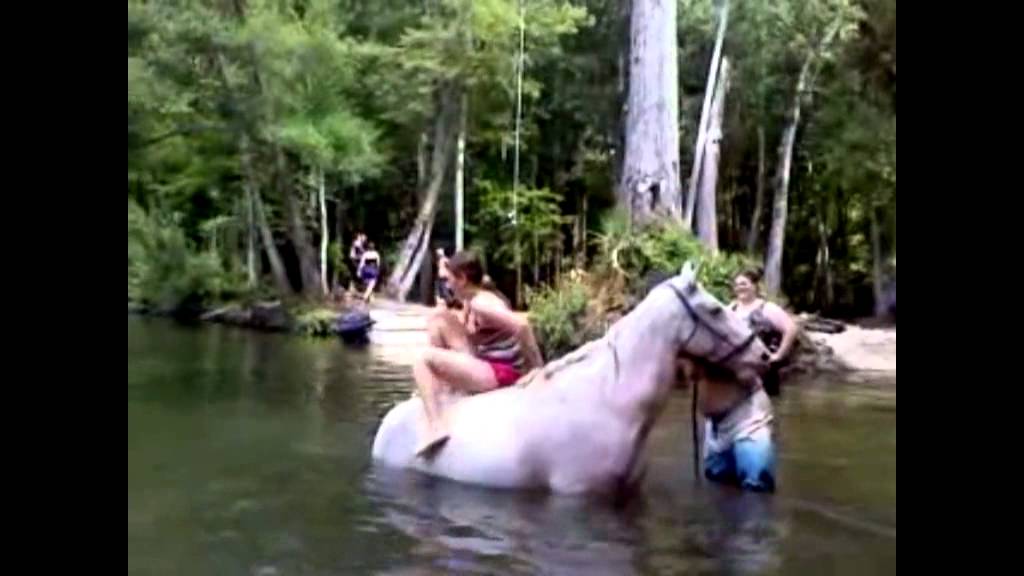 Horseback Riding Ocala Florida YouTube