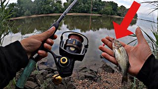 BIG baits For River GIANTS! // Summer Delaware River Fishing 2023