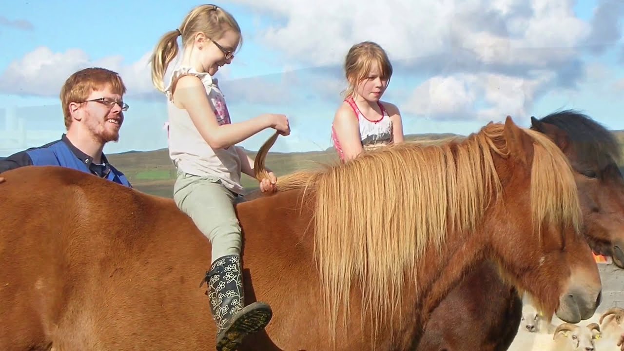 Souvenir from Iceland - North