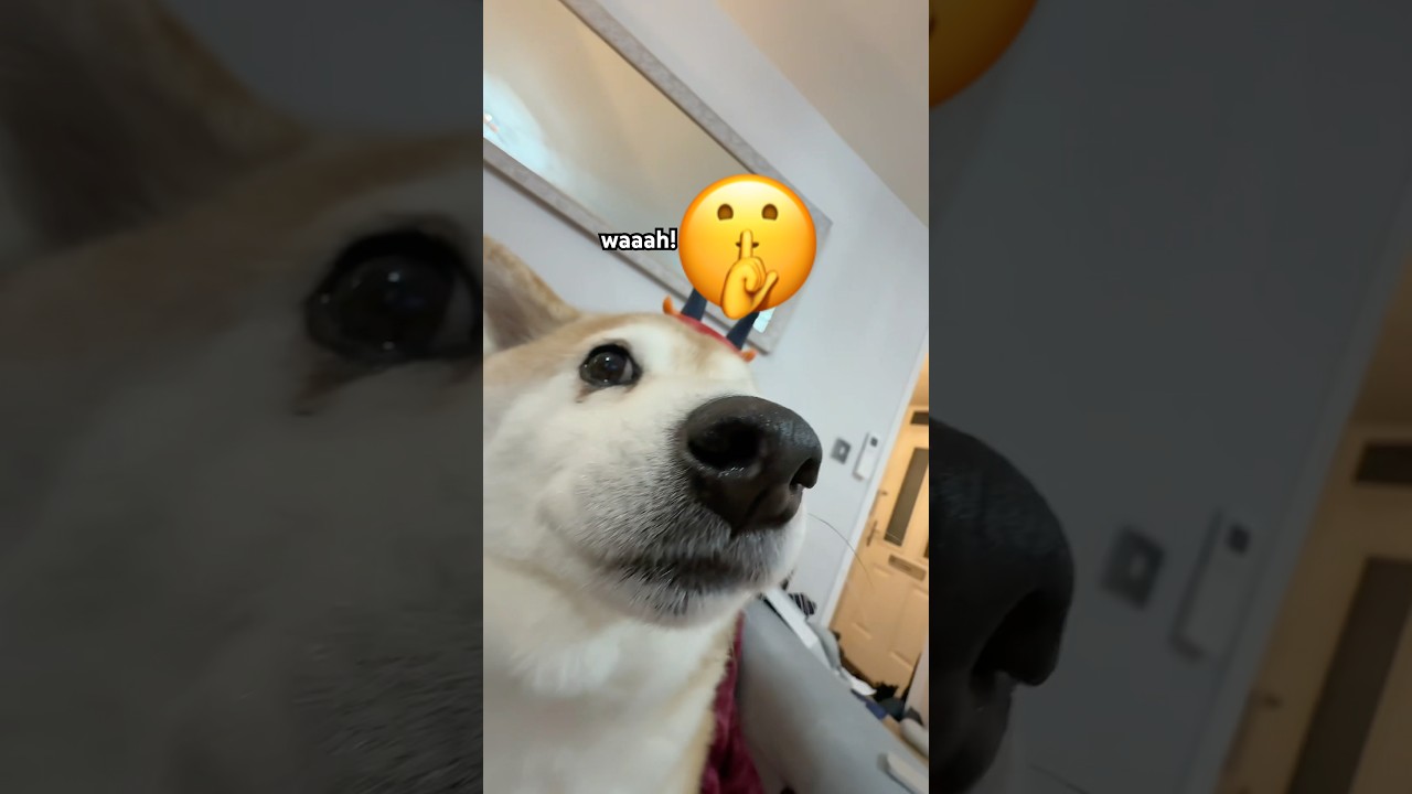 Waaah! Number one ☝️