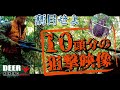 忍び猟 10頭分の狙撃 丸見え狩猟映像 猪猟 鹿猟