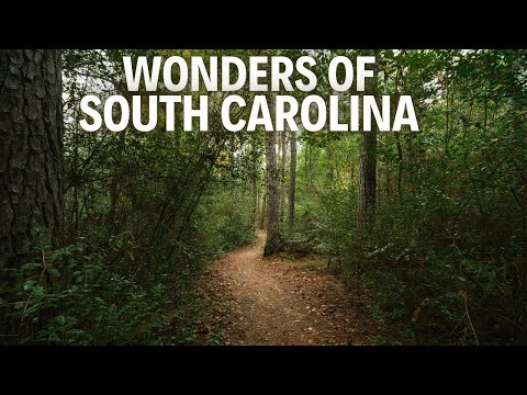 South Carolina Travel Guide | Top Tourist Attractions and Things to do in 2026