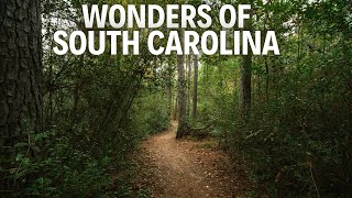 South Carolina Travel Guide | Top Tourist Attractions and Things to do in 2026