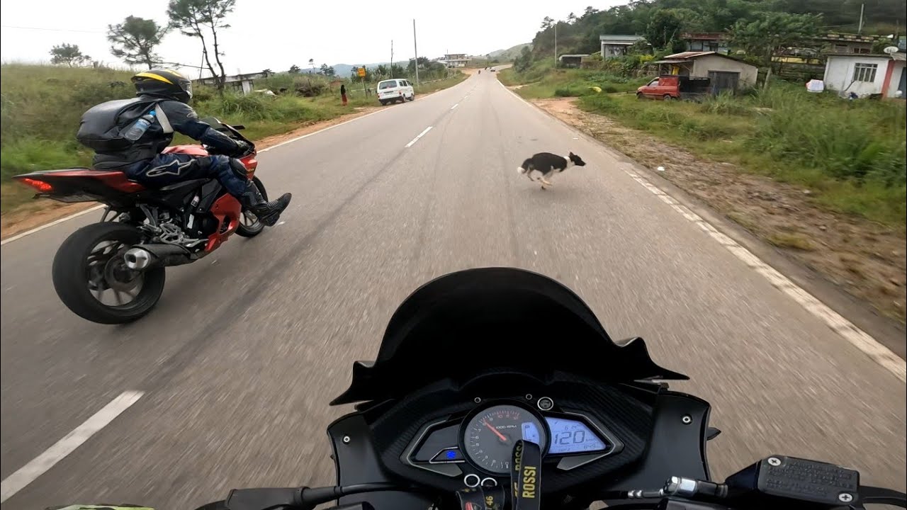 Dengerous 😱 dog crossing oh highway 🛣️ || rc 390 knee drag ⚡