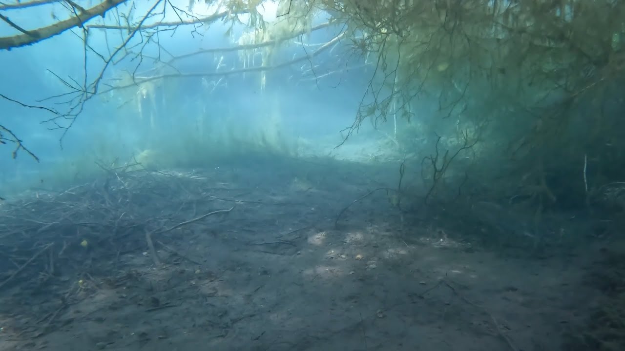ECHINGER WEIHER 24.08.2024 by Under Pressure Diving