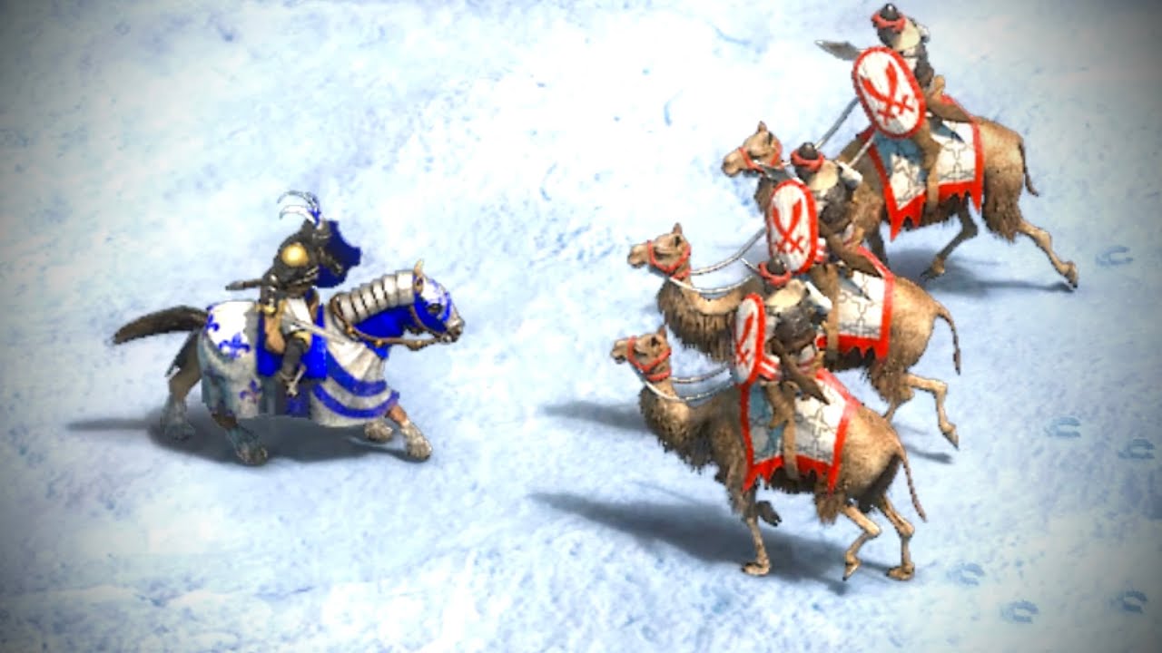 How Many Paladins Do You Need to Kill 3 Imperial Camel Riders? | AoE II ...