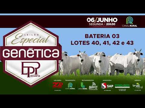 BATERIA 03   LOTES 40, 41, 42 e 43