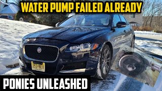 Replacing the Water Pump on my Jaguar XF 3.0l Supercharged Engine