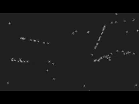 Processing: Ants