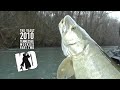 Musky fishing action in Tennessee - Part 2