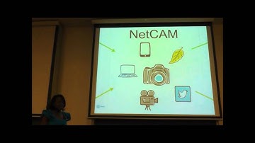 Environmental three-dimensional concurrent engineering