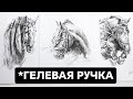 РИСУНКИ ГЕЛЕВОЙ РУЧКОЙ. КАК РИСОВАТЬ ЖИВОТНЫХ. Показываю свои работы