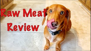 Dachshund Reviews Raw Meat | Funny Dachshund Video