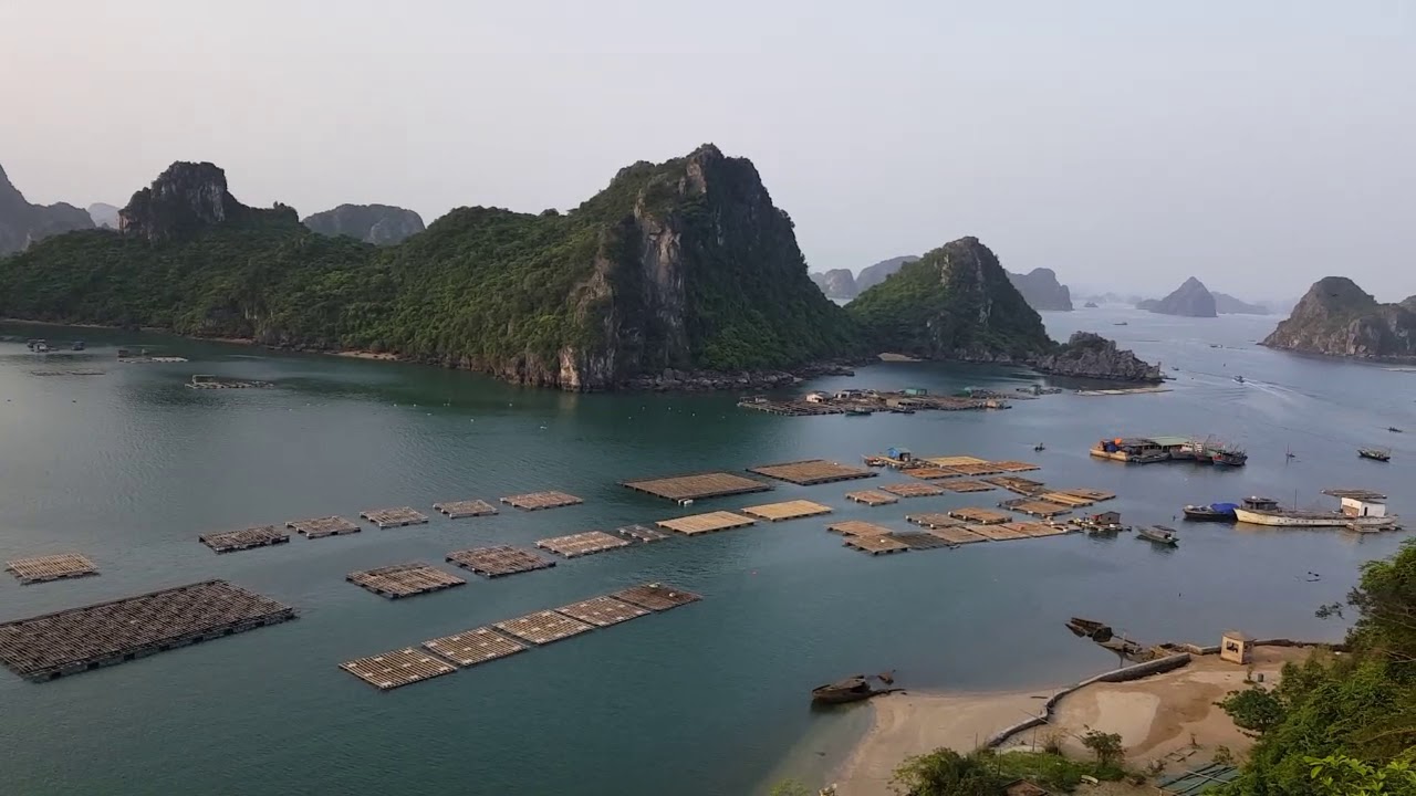 Cầu cảng Cái Rồng (Vân Đồn, Quảng Ninh) - YouTube