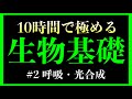 【2時間目】呼吸・光合成 #生物基礎 (葉緑体、ミトコンドリア、細胞内共生説)