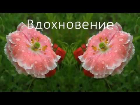 Вдохновение. Красота живой природы.