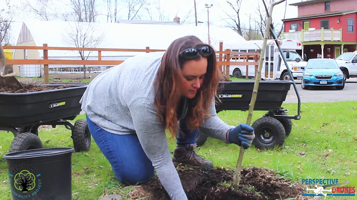 City of Hartford Forster Heather Dionne show us ho...