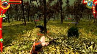 The Witcher, Gameplay/Battle Tips.